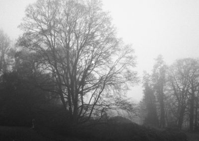 Argentique-POTTAM